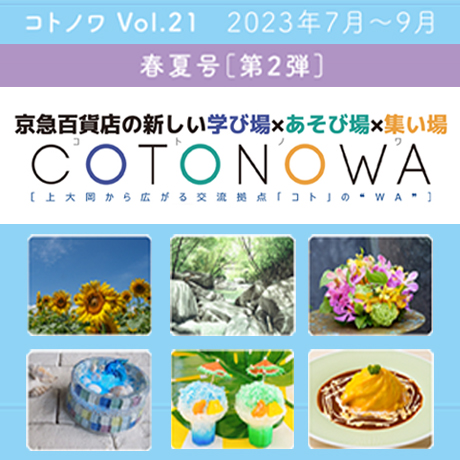 コトノワ6月
